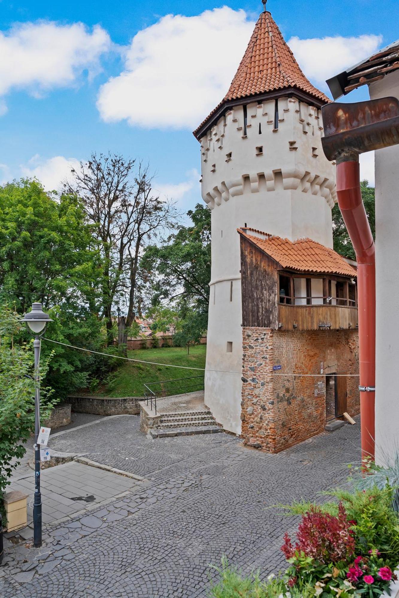Gela'S Terrace Apartment Сибиу Экстерьер фото